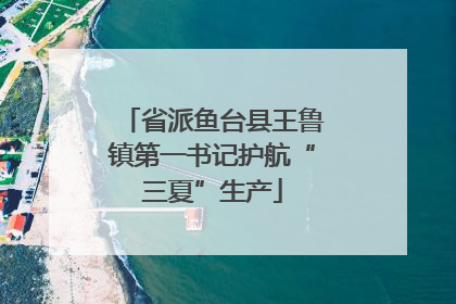 省派鱼台县王鲁镇第一书记护航“三夏”生产