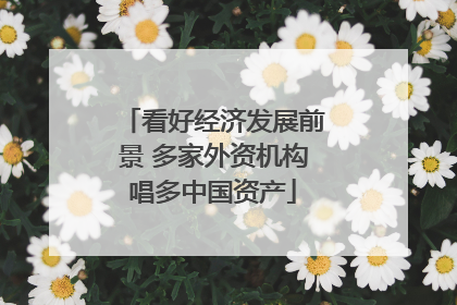 看好经济发展前景 多家外资机构唱多中国资产