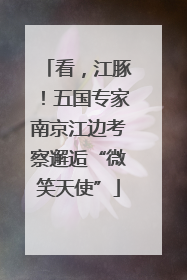 看，江豚！五国专家南京江边考察邂逅“微笑天使”