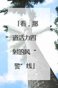 看，那道活力四射的风“警”线