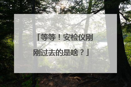 等等！安检仪刚刚过去的是啥？