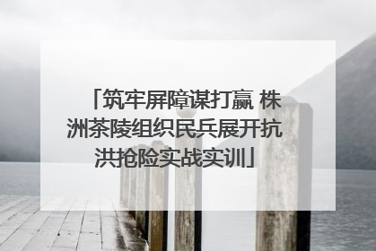 筑牢屏障谋打赢 株洲茶陵组织民兵展开抗洪抢险实战实训