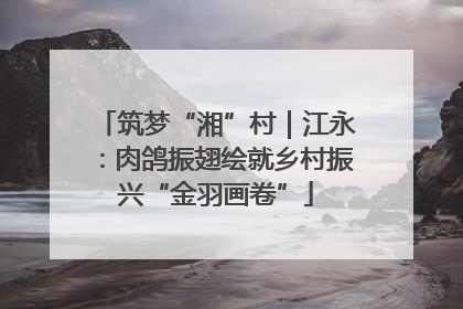 筑梦“湘”村｜江永：肉鸽振翅绘就乡村振兴“金羽画卷”
