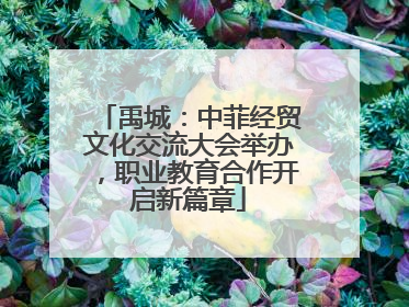 禹城：中菲经贸文化交流大会举办，职业教育合作开启新篇章