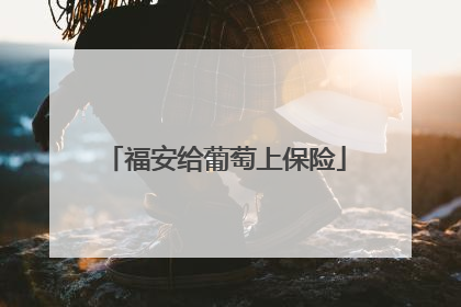 福安给葡萄上保险