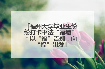福州大学毕业生纷纷打卡书法“福墙”：以“福”告别，向“福”出发