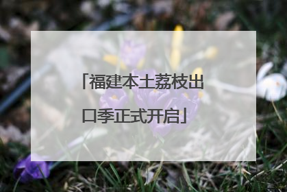 福建本土荔枝出口季正式开启