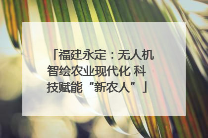 福建永定：无人机智绘农业现代化 科技赋能“新农人”