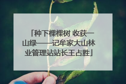 种下棵棵树 收获一山绿——记牟家大山林业管理站站长王占胜