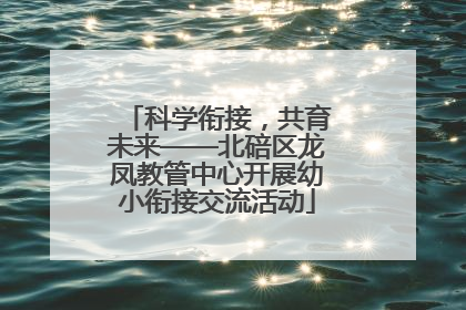 科学衔接，共育未来——北碚区龙凤教管中心开展幼小衔接交流活动