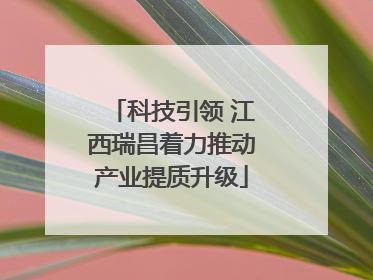 科技引领 江西瑞昌着力推动产业提质升级