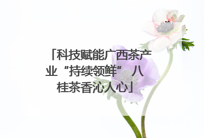 科技赋能广西茶产业“持续领鲜” 八桂茶香沁人心