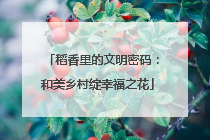 稻香里的文明密码：和美乡村绽幸福之花