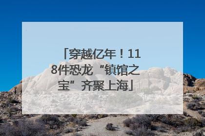 穿越亿年！118件恐龙“镇馆之宝”齐聚上海