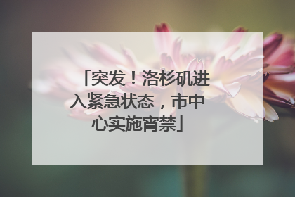 突发！洛杉矶进入紧急状态，市中心实施宵禁