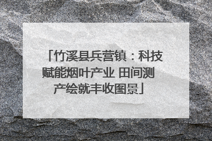 竹溪县兵营镇：科技赋能烟叶产业 田间测产绘就丰收图景