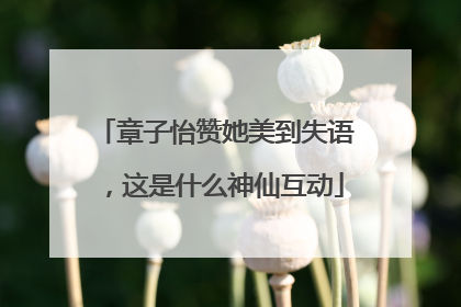 章子怡赞她美到失语，这是什么神仙互动