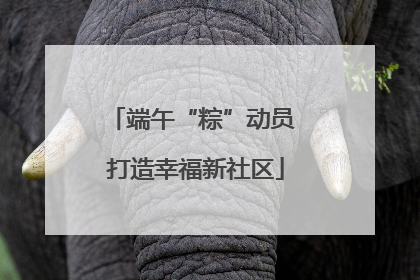 端午“粽”动员 打造幸福新社区