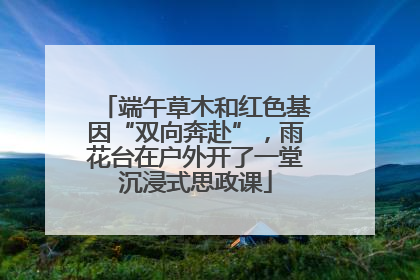 端午草木和红色基因“双向奔赴”，雨花台在户外开了一堂沉浸式思政课