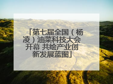 第七届全国（杨凌）油菜科技大会开幕 共绘产业创新发展蓝图