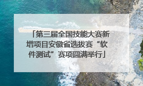 第三届全国技能大赛新增项目安徽省选拔赛“软件测试”赛项圆满举行