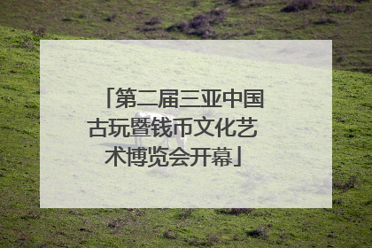 第二届三亚中国古玩暨钱币文化艺术博览会开幕