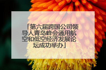 第六届跨国公司领导人青岛峰会通用航空和低空经济发展论坛成功举办