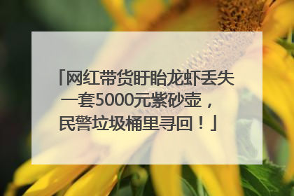 网红带货盱眙龙虾丢失一套5000元紫砂壶，民警垃圾桶里寻回！
