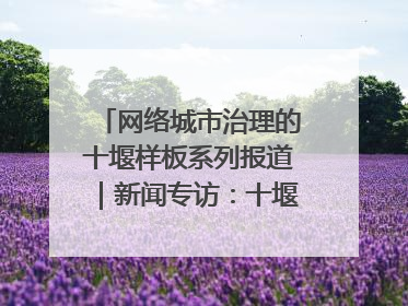 网络城市治理的十堰样板系列报道｜新闻专访：十堰为什么成为“黑马型”城市治理网络维度典型
