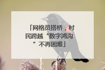 网格员搭桥，村民跨越“数字鸿沟”不再困难