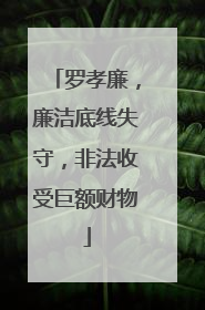 罗孝廉，廉洁底线失守，非法收受巨额财物
