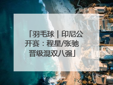 羽毛球｜印尼公开赛：程星/张驰晋级混双八强