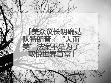 美众议长明确站队特朗普：“大而美”法案不是为了取悦世界首富