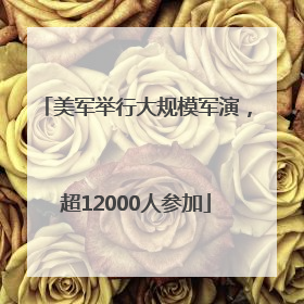 美军举行大规模军演，超12000人参加