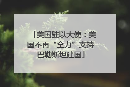 美国驻以大使：美国不再“全力”支持巴勒斯坦建国