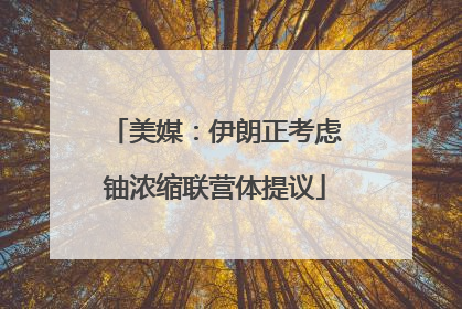 美媒：伊朗正考虑铀浓缩联营体提议