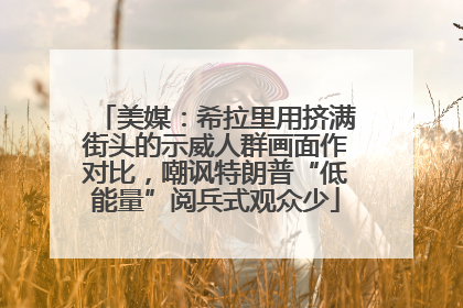 美媒：希拉里用挤满街头的示威人群画面作对比，嘲讽特朗普“低能量”阅兵式观众少