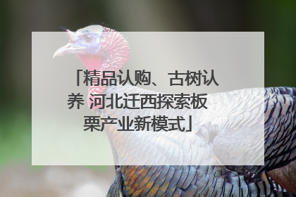 精品认购、古树认养 河北迁西探索板栗产业新模式