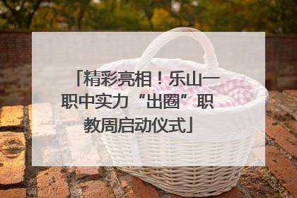 精彩亮相！乐山一职中实力“出圈”职教周启动仪式