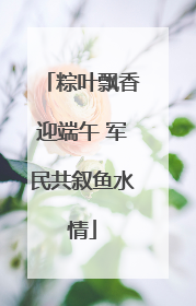 粽叶飘香迎端午 军民共叙鱼水情