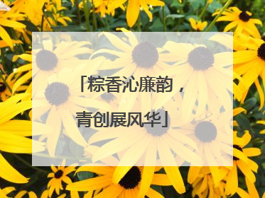 粽香沁廉韵，青创展风华