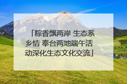 粽香飘两岸 生态系乡情 奉台两地端午活动深化生态文化交流