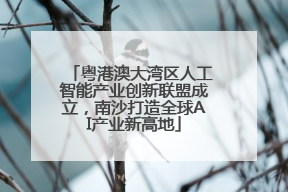 粤港澳大湾区人工智能产业创新联盟成立，南沙打造全球AI产业新高地