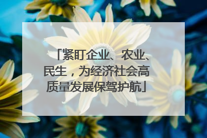 紧盯企业、农业、民生，为经济社会高质量发展保驾护航