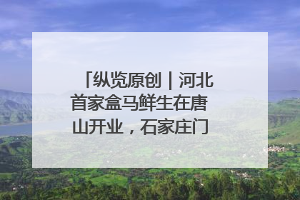 纵览原创｜河北首家盒马鲜生在唐山开业，石家庄门店预计8月开业