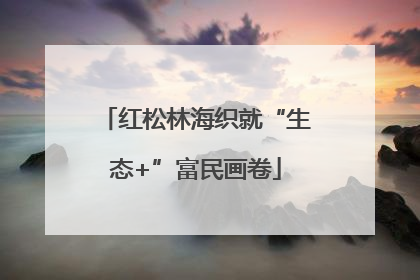 红松林海织就“生态+”富民画卷