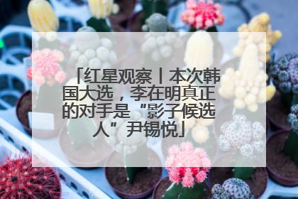 红星观察丨本次韩国大选，李在明真正的对手是“影子候选人”尹锡悦