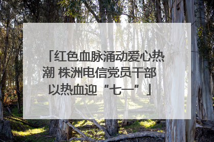 红色血脉涌动爱心热潮 株洲电信党员干部以热血迎“七一”