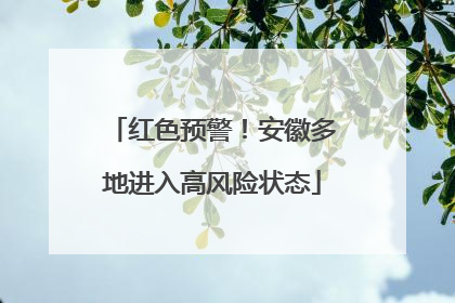 红色预警！安徽多地进入高风险状态