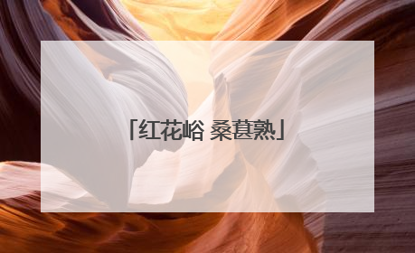 红花峪 桑葚熟